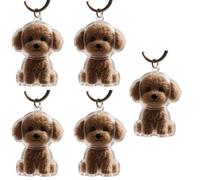 xbiez 2/3/4/5/10Pcs Pet Hair Memorial Keychain With Clear Storage Box For Cherishing Cats Dog Furs Preservations Pendants Pet Loss Sympathy Gift