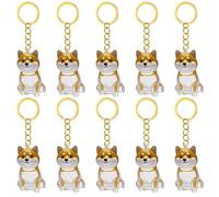xbiez 2/3/4/5/10Pcs Pet Hair Memorial Keychain With Clear Storage Box For Cherishing Cats Dog Furs Preservations Pendants Pet Loss Sympathy Gift