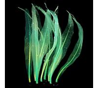 xbiez Aquarium Decor Plant Simulation Silicone Realistic Artificial Moves with Water Ornament for Fish Tanks