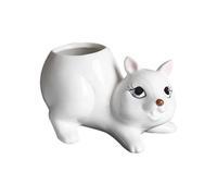 xbiez Ceramic Fleshy Plant Container Squirrel Shape Cartoon Plant Cactuses Flower Planter Home Desk Gardening Planter