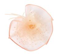 xbiez Classical 1920s Costume Hat Feathered Fascinator Hat For Women Social Event Great For Garden Parties And Fashion Show