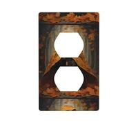 XBKGOHA A Little Bear in a Cloak Picture Double Socket Wall Panel Decorative for Residential and Commercial Areas 4.5x2.76in