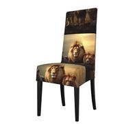 XBKGOHA Removable Dining Chair Covers wild animals Printed - Soft, Comfortable, Wrinkle Resistant, No Ironing Needed Stretchable for Most Armless Chair