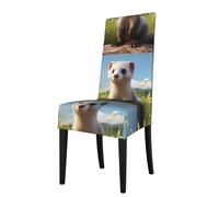 XBKGOHA Removable Dining Chair Covers Wildlife Ferret Printed - Soft, Comfortable, Wrinkle Resistant, No Ironing Needed Stretchable for Most Armless Chair