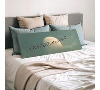 XBTYKPB Birds and Moon Canvas, Wide Panoramic Canvas Art, Long Horizontal Framed Print, Moody Japandi Scenery, Zen Wall Decor(35x105cm/Frameless)
