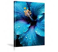 XBTYKPB Dew Drops On Blue And Turquoise Hibiscus Petals Canvas Wall Art Painting Flower Print Posters, For Living Room, Bathroom 40x60cm Withframe