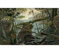XcBAIHOUD Famous Famous Art Minimalist Prints Indians Using a Fallen Tree trunk to Cross the Rio Paraiba Do Sul by Jean Baptiste Debret Art Canvas Murals for Home Decor 60x90cm