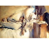 XcBAIHOUD Famous Modern Canvas Prints Animal Pictures Peter Harrison Asleep John Sargent Vintage Poster for Room Decor 60x90cm