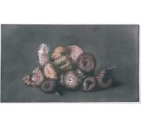 XcBAIHOUD Famous Modern Canvas Prints Animal Pictures Still Life of Dried Flowers by Peter Vilhelm Ilsted Vintage Poster for Home Decor 60x90cm