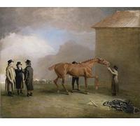 XcBAIHOUD Famous Painting Famous Art Minimalist Prints Muly Moloch a Chestnut Colt Being Rubbed Down on Newmarket Heath by famous painiter Art Canvas Murals for Home Decor 60x90cm