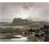 XcBAIHOUD Famous Painting Modern Artwork Classic Canvas Painting Herd of Bison on the Upper Missouri by Karl Bodmer Printed Paintings for Room Decor 60x90cm