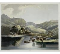 XcBAIHOUD Famous Painting Modern Artwork Classic Canvas Painting Herds of Bison and Elk on the Upper Missouri by Karl Bodmer Printed Paintings for Home Decor 60x90cm