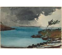 XcBAIHOUD Famous Painting Modern Canvas Prints Animal Pictures the Coming Storm by Winslow Homer Vintage Poster for Home Decor 60x90cm