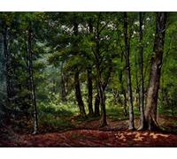XcBAIHOUD Famous Pictures Printed Wall Art Graffiti Towards a Woodland Clearing by Charles Vuagniaux Posters and Prints for Home Decor 60x90cm