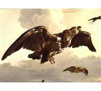 XcBAIHOUD Vintage Modern Canvas Prints Animal Pictures an Bird and a Swallow in Flight by Melchior De Hondecoeter Vintage Poster for Office Decor 60x90cm