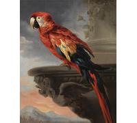 XcBAIHOUD Vintage Pictures Printed Wall Art Graffiti Parrot by Peter Paul Rubens Posters and Prints for Office Decor 60x90cm