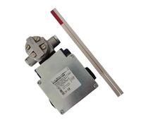 XCKMR54D1H29 XCKJ10513H29 XCKM121H29 Travel Limit Switch(XCKMR54D1H29)