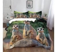 XCQHZYQ Duvet Cover Sets King Size 220x230 cm Wildlife Meerkat Breathable Lightweight Bedding Set for Kids Teens Adults, Room Decoration 3 Pcs Bedding with 2 Pillow Cases