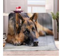 XCQHZYQ Fleece Throw Blanket Animals German Shepherd 130x150 cm Large Flannel Fleece Blanket Cozy Warm for Bed Sofa Couch, Throw Blanket Fluffy Soft Couch Blanket
