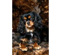 XCSQTYMY DIY Oil Painting Paint by Number Kits Cavalier King Charles Spaniel Canvas Oil Painting Kits for Adults and Kids Home Wall Decor