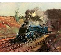 XCSQTYMY Paint by Numbers Steam Train Retro Train DIY Digital Painting for Beginners Wall Decor Drawing Kit with Paintbrushes on Canvas 16x20" Painting