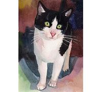 XCSQTYMY Paint by Numbers Tuxedo cat Canvas Diy Oil Painting for Kids Adults Beginner with Brushes and Acrylic Paints