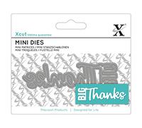 Xcut Mini Sentiment Die Big Thanks Carbon Steel, Art & Craft, Carbon Cutting Tool Supplies, Beautiful Decoration, Card Making Gift Tag, Wrapping, Scrapbooking, Invitations, Crafters Companion