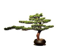 XDAWQP Artificial Trees Artificial Bonsai Welcoming Pine Landscape Green Plants Home Indoor Pine Tree Decorations Artificial Bonsai,B
