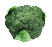 XDAWQP Broccoli Model Simulation Food Model Fake Broccoli for Decor Vegetable Shop Props Realistic Plant,Green 12.5X10X10CM