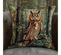 XDEGHUANGSS Complete Latch Hook Kit for Cushion,All-Inclusive DIY Embroidery Kit with Tool,17x17 in Plush Sofa Cushion Cover for Home Decor,Beginner Friendly Craft for Adults Kids(Owl)