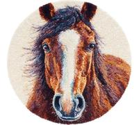 XDEGHUANGSS DIY Latch Hook Rug Kit Brown Horse Portrait Round Carpet with Pattern 52x52cm Yarn Hooking Crochet Mat Home Floor Mat Decor