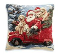 XDEGHUANGSS DIY Xmas Cushion Latch Hook Kit for Adults,Relaxing Holiday Craft Activity, Make a Festive Throw Pillow with Colourful Yarn & Printed Canvas,43x43 cm-15