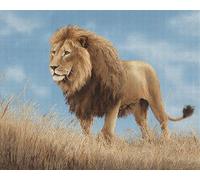 XDEGHUANGSS Large Latch Hook Kits for Adults Rug Making Kit for Adults Beginners,Prairie Lion,Embroidery Carpet Pre-Printed Pattern Rug Making Kit,Tapestry Kits Rug for Beginners-52x38cm