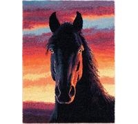 XDEGHUANGSS Latch Hook Kits Designed for Adults Beginners,Black Horse Portrait,DIY Rug Making Kit for Home Carpets,Cross Stitch Embroidery Supplies for Crafting,Suitable for Home Decoration