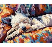 XDEGHUANGSS Latch Hook Rectangle Rug Kit for Adults Chinese Crested Dog Aleeping in Bed Crochet Yarn Carpet Floor Mat Tapestry Christmas Home Decor 52x38cm-1