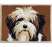 XDEGHUANGSS Latch Hook Rug Kit Cartoon Havanese Dog Portrait with Pre-Printed Mat Cover DIY Cushion Crochet Yarn Hooking Craft Set for Hobby and Floor Decor 52x38cm -8