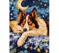 XDEGHUANGSS Rough Collie Sleeping in Bed Wth Stars and Moon Latch Hook Rectangle Rug Kits for Adults Needle Crochet Yarn Embroidery Carpet Floor Mat Tapestry Christmas Home Decoration 52x38cm -1