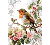 XDEGHUANGSS Stamped Cross Stitch Kit for Adults Beginners,11CT Printed Canvas with Flowers and Birds Pattern,Easy Counted Embroidery Supplies for Wall Art Home Decor,40x50cm Modern Needlecraft Gift