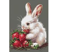 XDEGHUANGSS Stamped Cross Stitch Kits for Adults Beginners,Strawberry Rabbit,Easy Printed Embroidery Needlepoint Set with Colorful Pattern,16x20 Inch DIY Handmade Craft for Home Décor & Gift