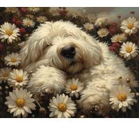 XDEGHUANGSS Stamped Cross Stitch Kits,Old English Sheepdog in Daisies,Needlepoint Counted Cross Kits for Beginners,Embroidery Kits Arts Home Decor(11CT No Frame,40x50 cm)