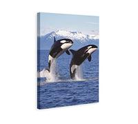 XDTIOPIMY Animal Orcas Wall Art Decor Orcas Picture Canvas Print Decor Office Room Decor Paintings for Living Room Bedroom Blue Ocean Theme Landscape Poster Iceberg Framed Ready to Hang 12x18 inchs