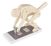 XDTKJDZ Pro Correct Lifting Model, Human Weightlifting Spine Force Demonstration Model, Interactive Lumbar Spine Trainer, for Medical Science Education & Anatomy