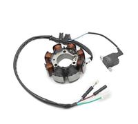 XEBRAD Ignition Stator Motorcycle Generator Magneto Stator Coil for TRX250 TRX 250 for FourTrax 250X 1987 1988 1991 1992 Ignition Stator Magneto Plate Motorcycle Stator Plate