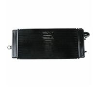 XEBRAD Motorcycle Engine Radiator Cooler Cooling System, for Shadow ACE 750 VT750C 1997-2003 1998 1999 2000 Motorcycle Engine Radiator Cooling