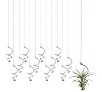 Xelsluthe 12 Pcs Air Plants Live Holders with Jute Ropes, Soilless Air Plant Hanger Hanging Plant Holder Succulent Hanging Display