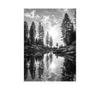 XENIOU Black And White Pictures For Walls Landscape painting of forest streams prints for walls, decorative paintings for Living Room Bedroom Home Decoration(black and white)-70x100cm Unframed
