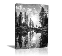 XENIOU Black And White Pictures For Walls Landscape painting of forest streams prints for walls, decorative paintings for Living Room Bedroom Home Decoration(black and white)-70x100cm Framed