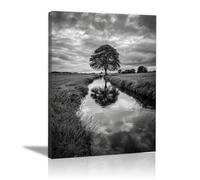XENIOU Black And White Pictures For Walls Trees by the prairie stream prints for walls, canvas wall art for Living Room Bedroom Bathroom Home Office Wall Decoration(black and white)-80x120cm Framed