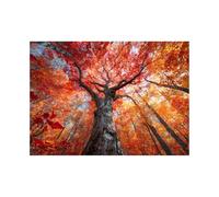 XENIOU Canvas Wall Art The yellow-leaved tree in the forest artwork, wall decoration Living Room Bedroom Hallway Stairs Decoration(orange)-40x60cm Unframed