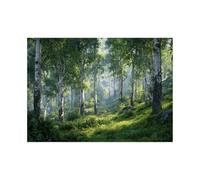 XENIOU Landscape Poster Illuminate the forest landscape pictures, print canvas poster decor for living room, bathroom canvas art, for Bedroom Home Decoration.(green)-80x120cm Unframed
